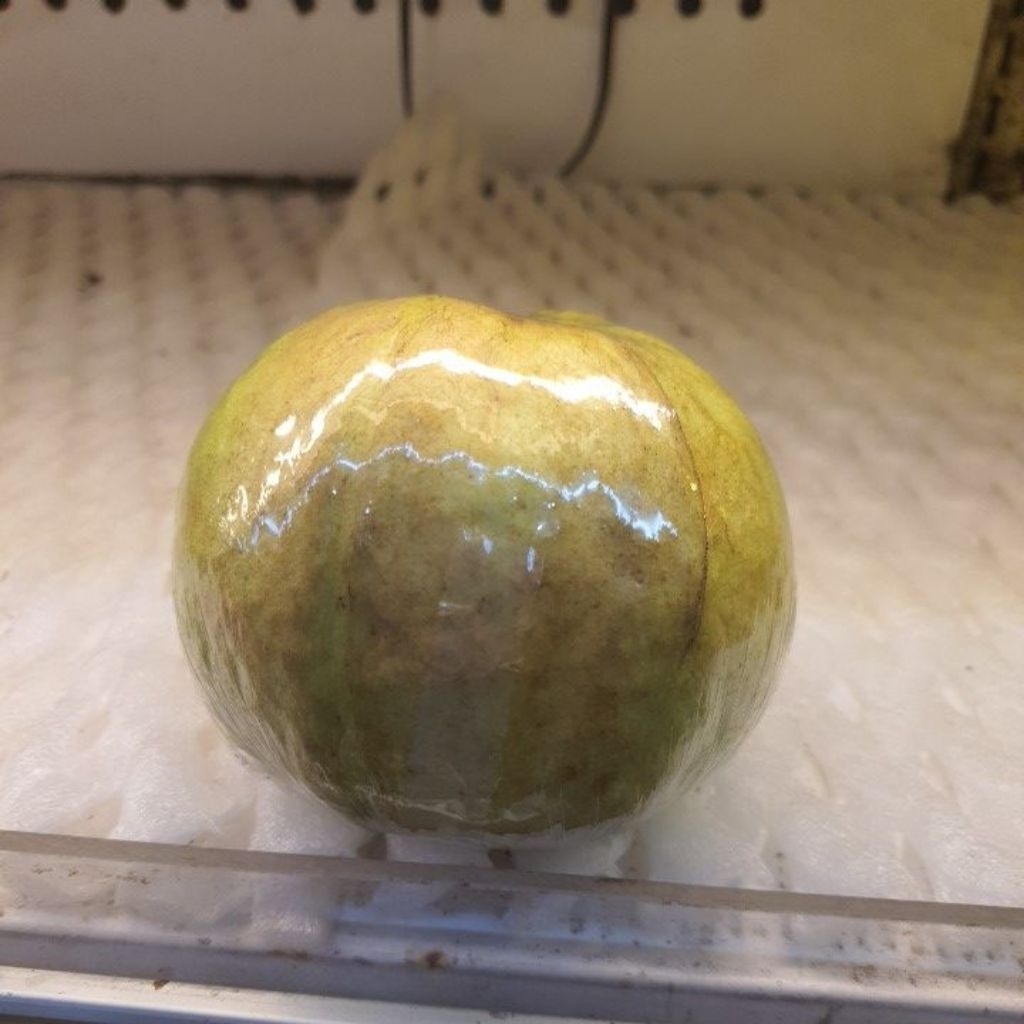 Jambu Apel / 1kg
