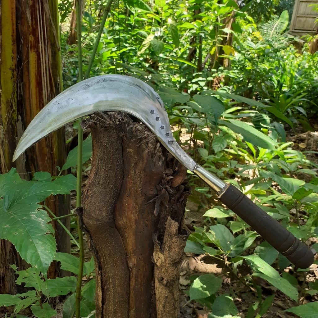 sabit rumput super tajam premium bahan baja asli