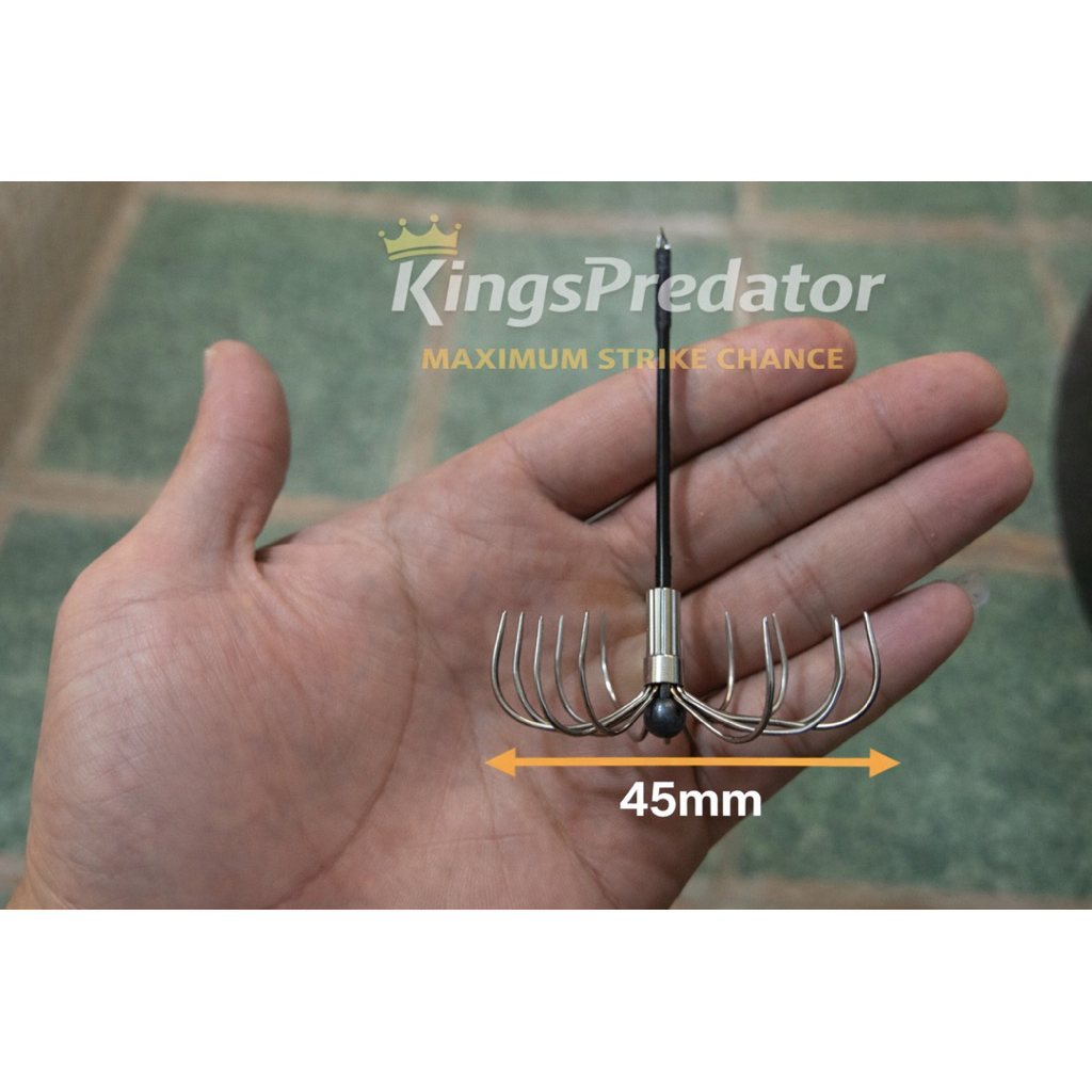 Kail Garong cumi / Grandong cumi / Gerandong cumi