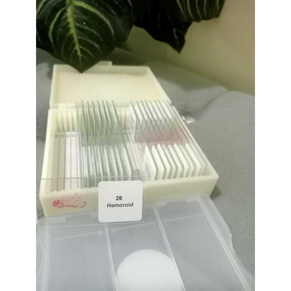 Preparat Hemorid ( Wasir / Ambeien ) CHINA