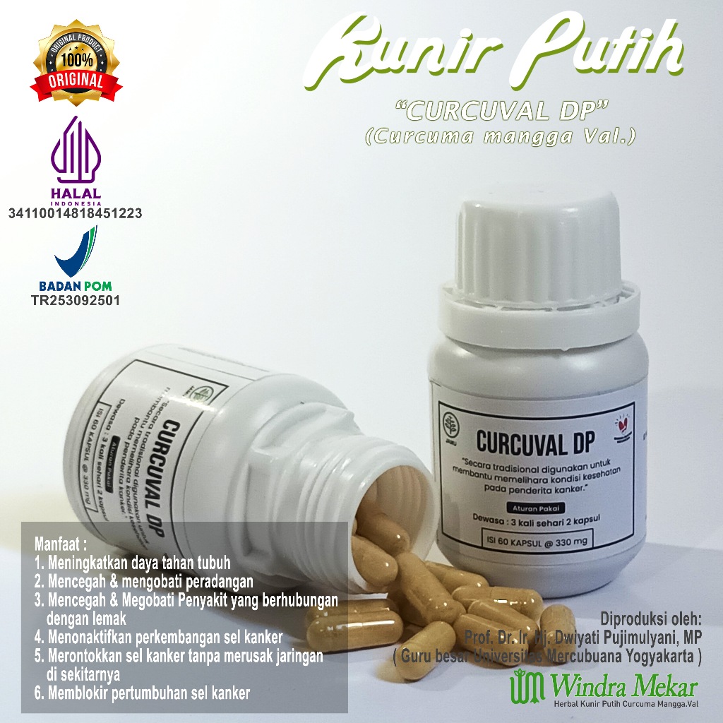 Kunir Putih Curcuval DP Windra Mekar | isi 60 kapsul