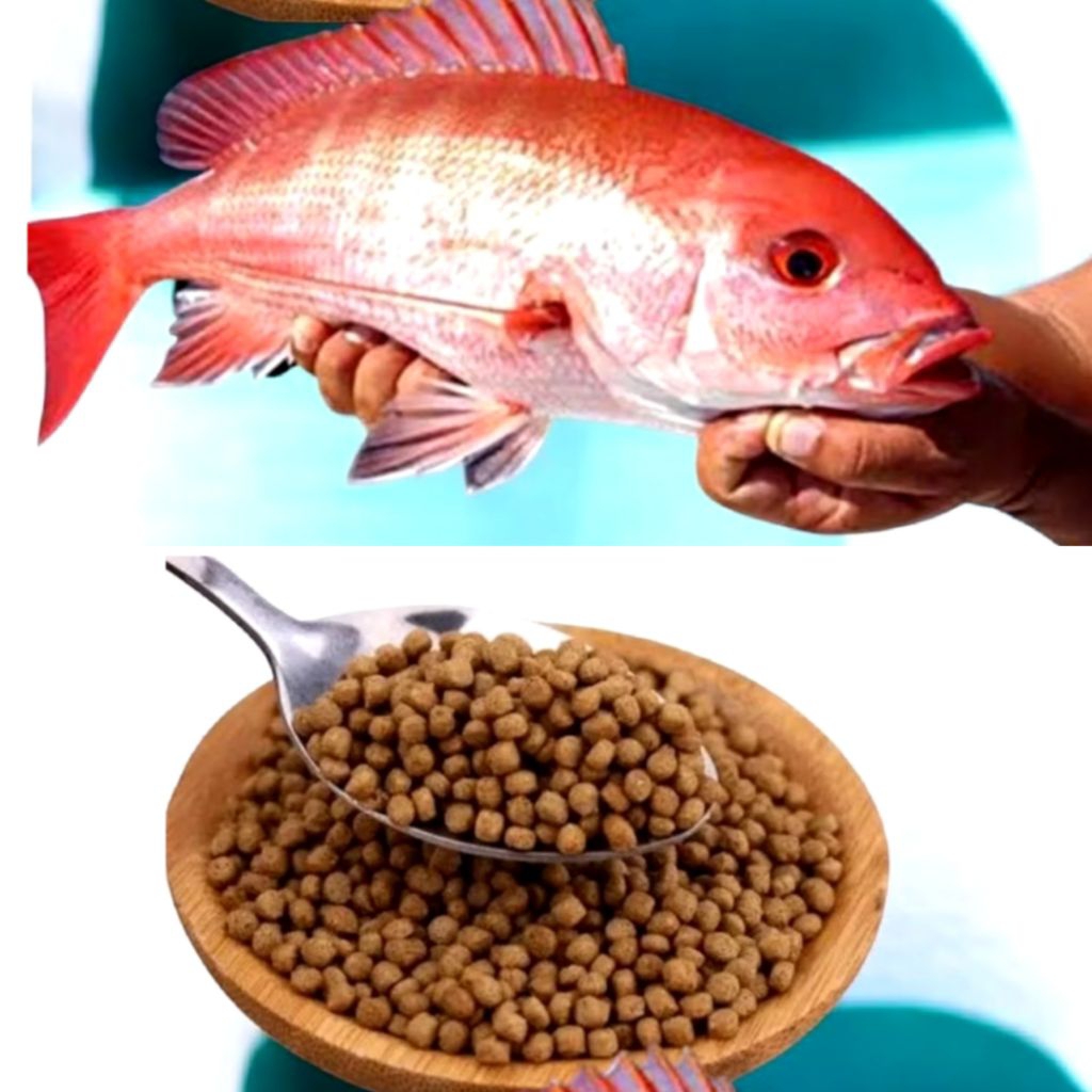 100 Gram Pakan Ikan Nila Merah Pelet Ikan Apung Mempercepat Pertumbuah Ikan