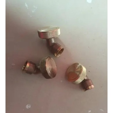 Swan Nozzle Sprayer Pompa 4 Lubang Kuningan Balikpapan