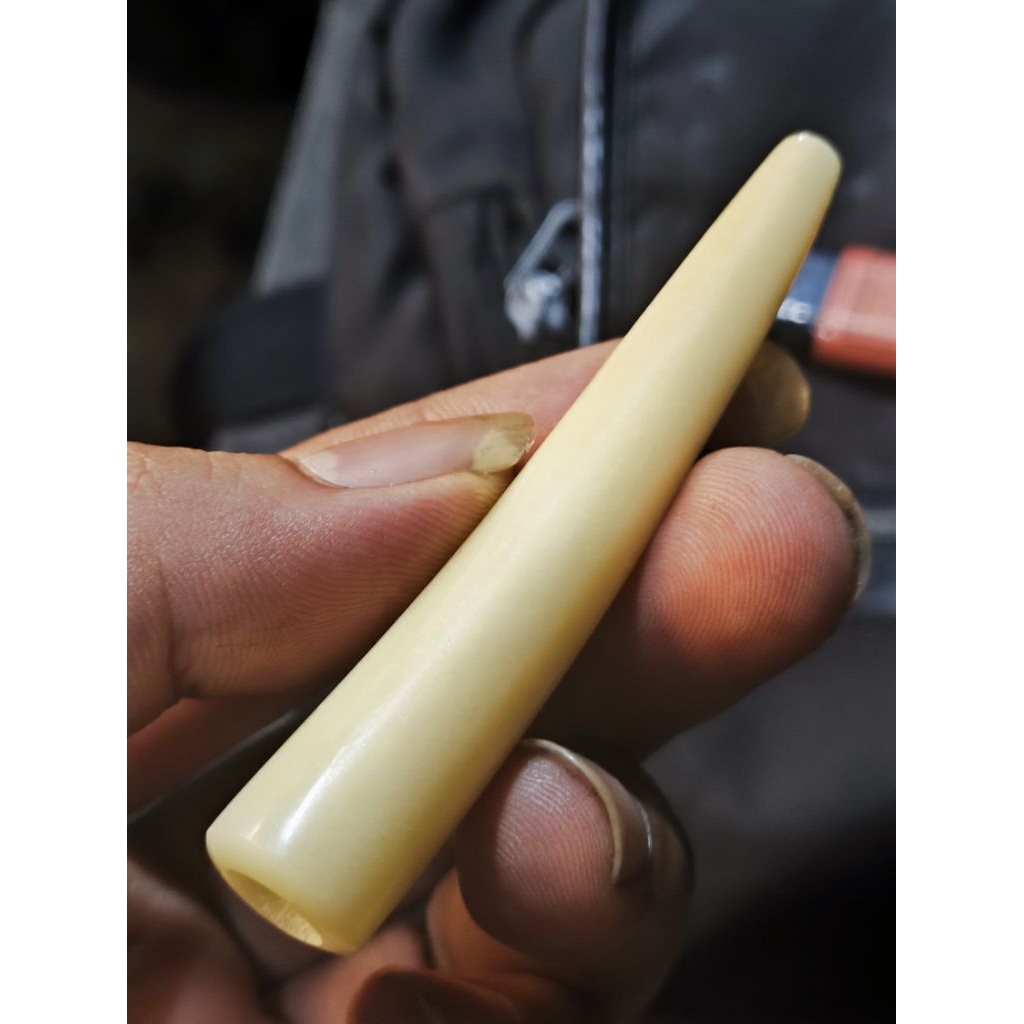 PIPA ONCE TULANG IKAN KUNING KEJU MULUS