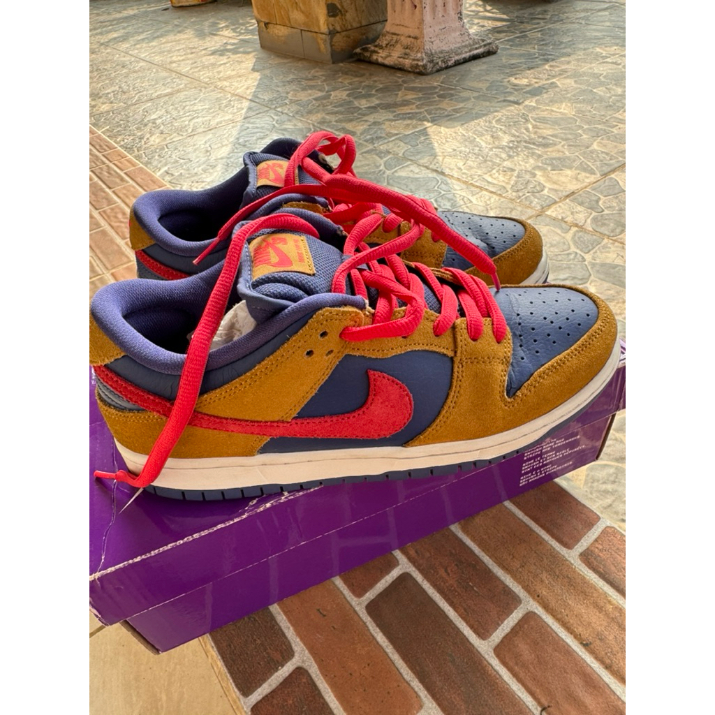 Sepatu Nike SB Low Dunk Pro