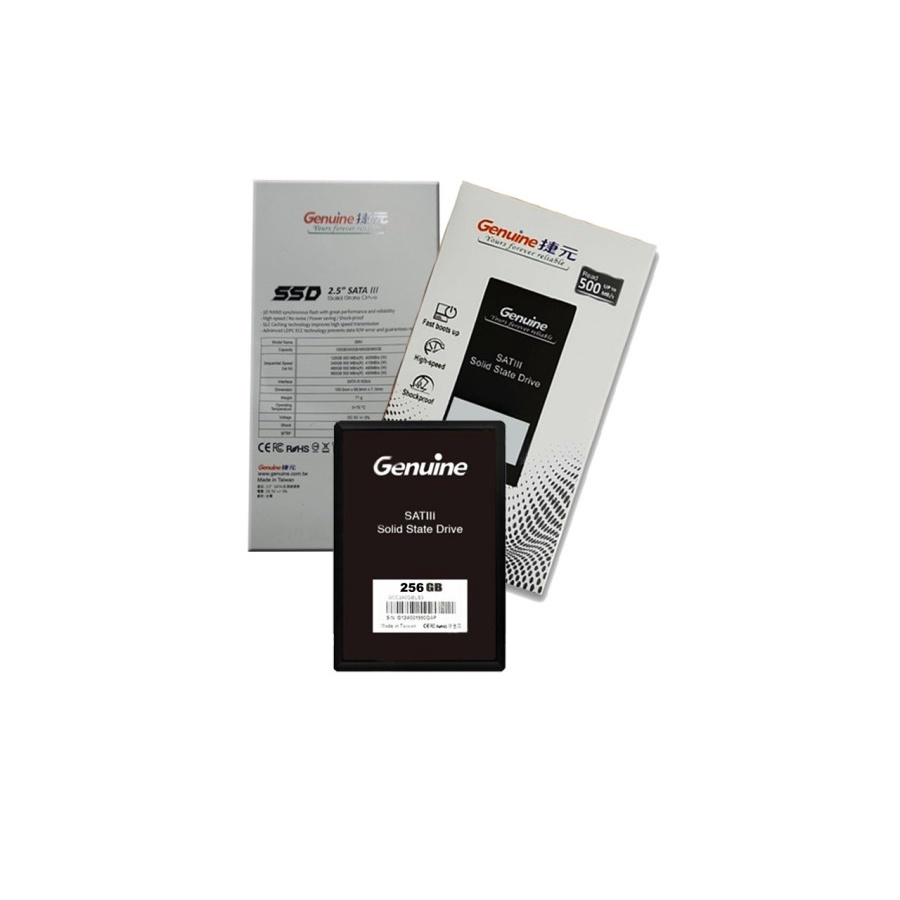 SSD SATA 256GB Murah Genuine / DST / XGeil