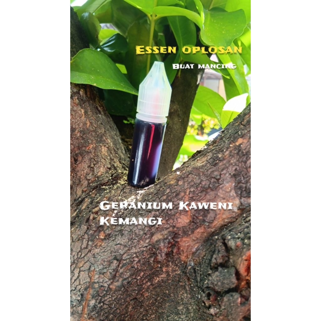 essen mancing /essen oplosan /geranium kaweni kemangi