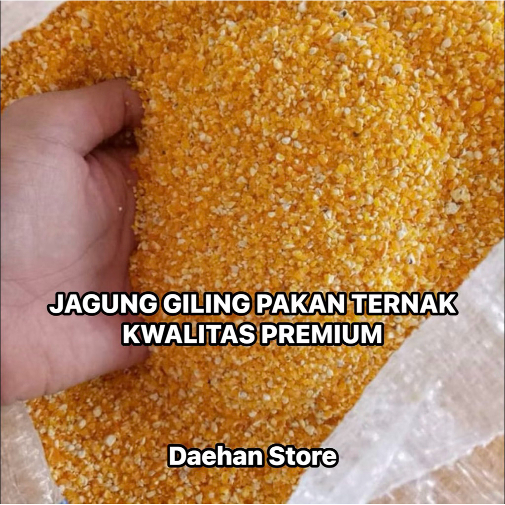 Jagung Giling Halus Pakan Ayam Praktis - Berat 500 Gram