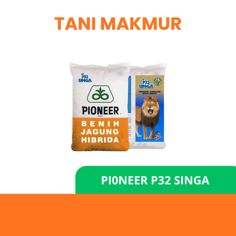 1 Kg Benih Jagung Pioneer P32 Singa - Tahan Penyakit, Hasil Tinggi, Tanaman Kuat Bibit P32 Singa