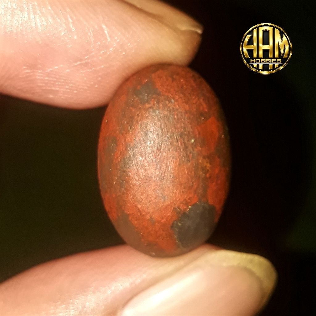 mata cincin pelawan merah temuan
