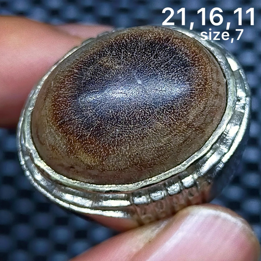 batu akik asli vosil kelor mata dewa antik top hq natural (asli alam)