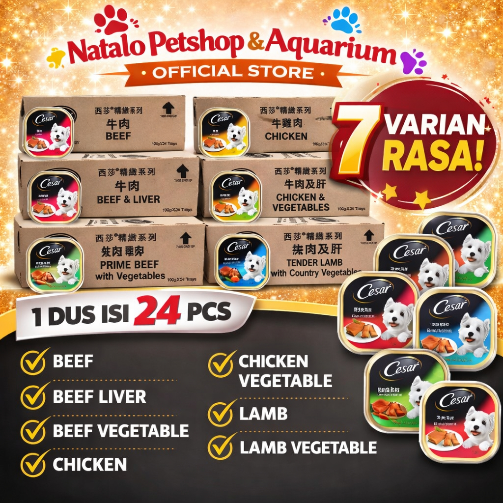 Cesar Dog Wet Food GROSIR 1 DUS isi 24 PCS - Makanan Basah Anjing Dewasa Super Premium