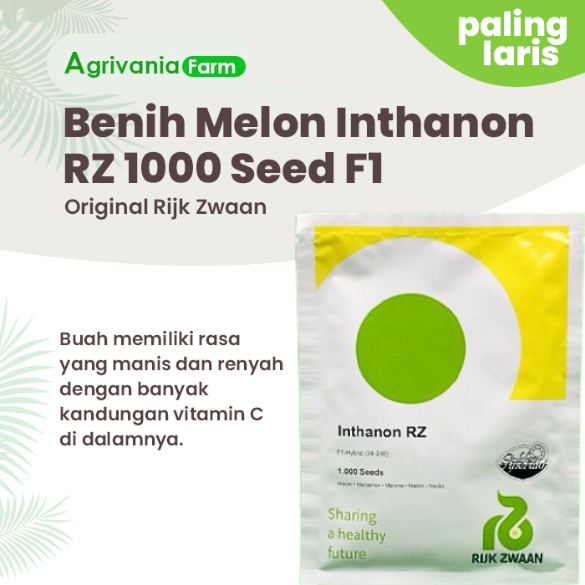 Benih MELON INTHANON RZ 1000 Seed Kemasan Original RZ Pabrik