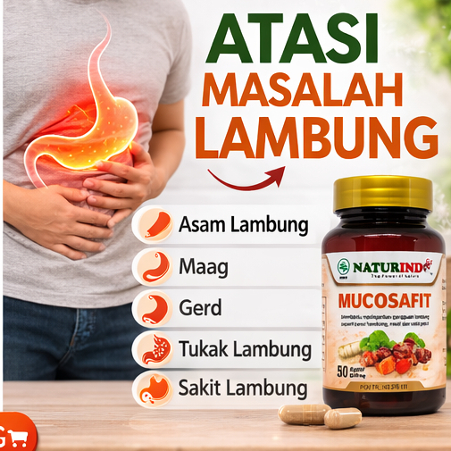 Naturindo Fit Mucosafit Herbal Obat Asam Lambung Maag Gerd Sakit Perut Mucosafit Naturindo