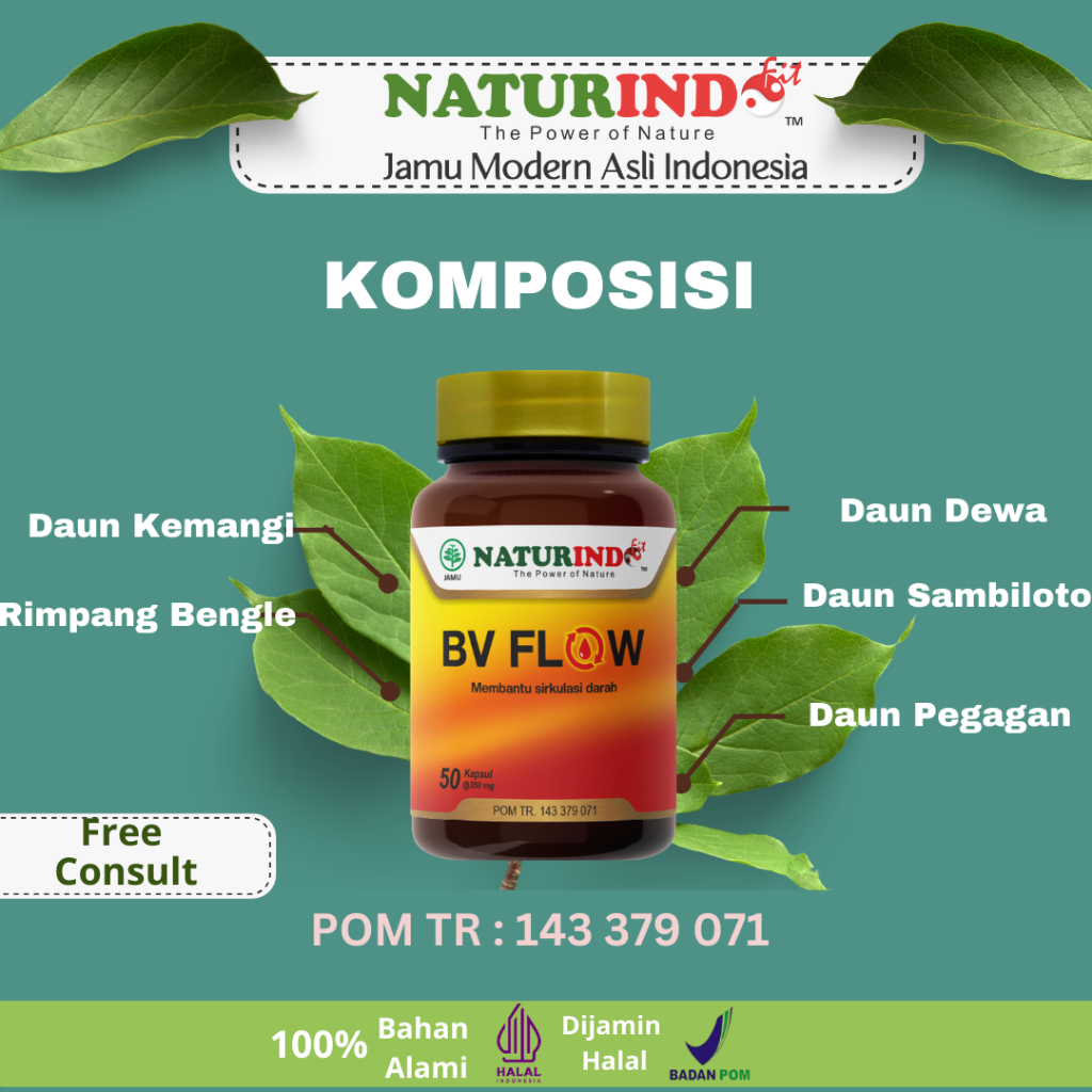 Obat Herbal Kebas Kesemutan BV Flow Naturindo