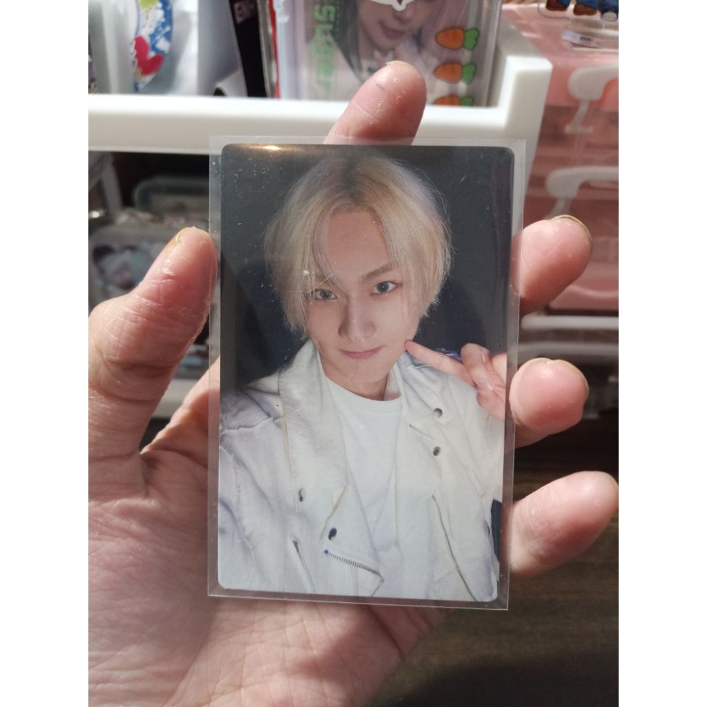 PHOTOCARD OFFICIAL ENHYPEN JUNGWON TUSPI YOI STANDART ALBUM