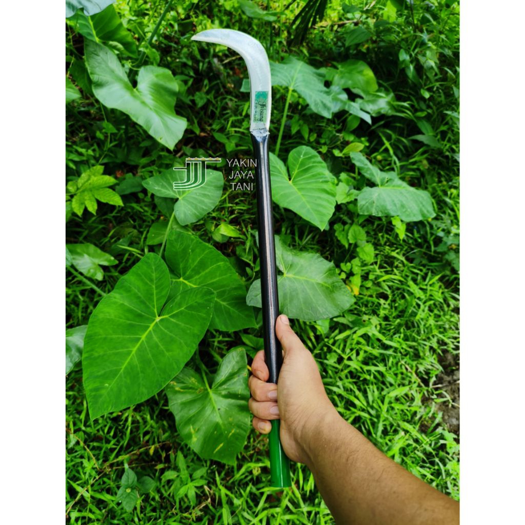 alat penyiang rumput - pemetik buah - kastrasi - sabit baja selendang multifungsi jhisung - panjang 
