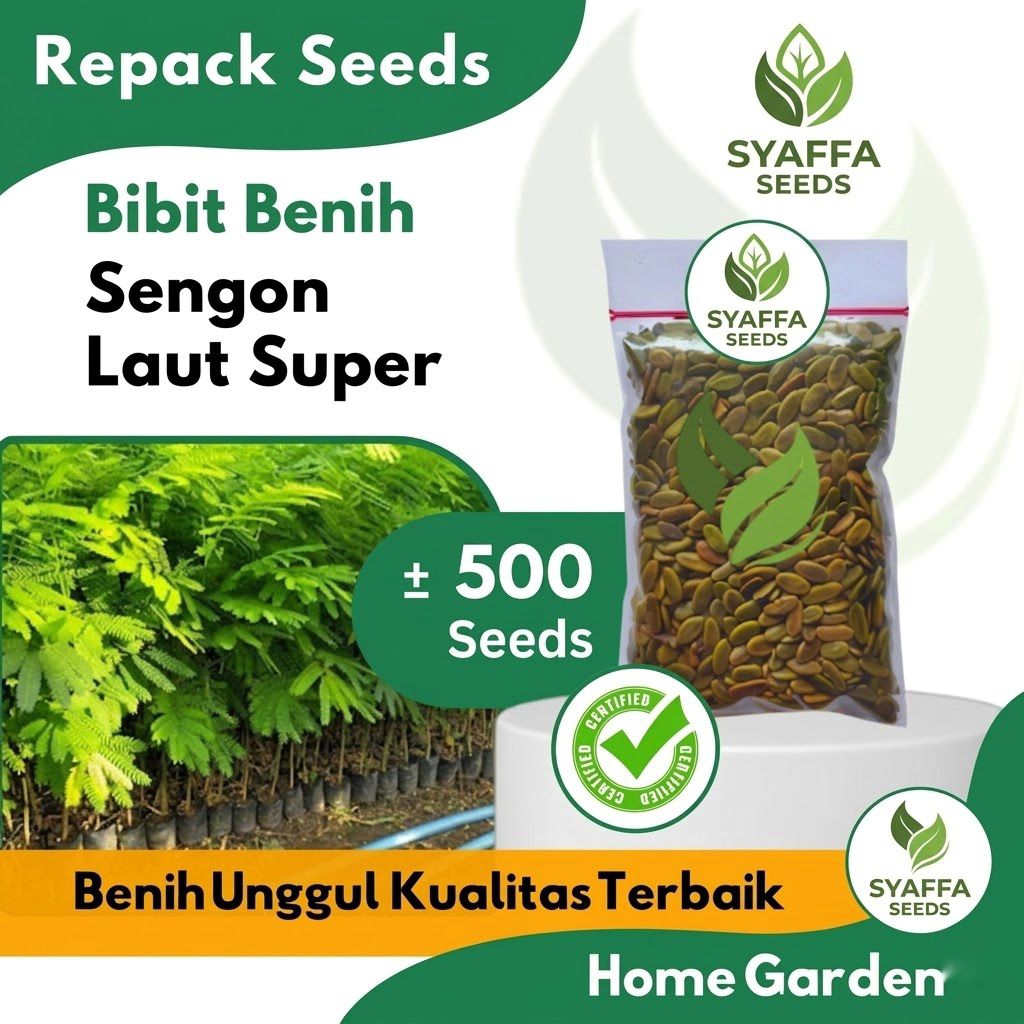 Jual Bibit Benih Sengon Laut Super Gold Repack 500 Biji - Biji Kayu Sengon Solomon Unggul Cepat Tumb