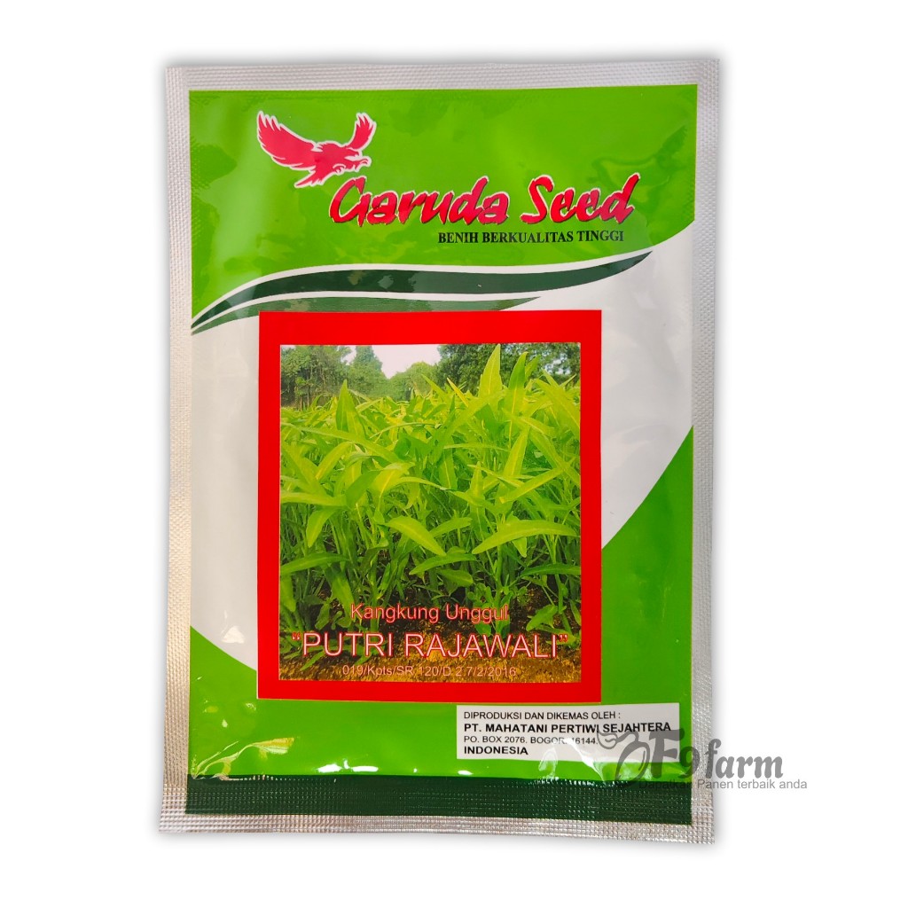 Benih kangkung unggul putri rajawali garuda seed 50 gram Kangkung darat hidroponik air