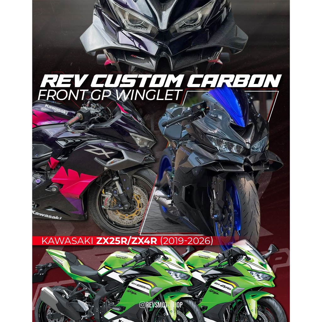 REVS Carbon Custom Kawasaki ZX25R ZX4R 2020-2026 GP WINGLET