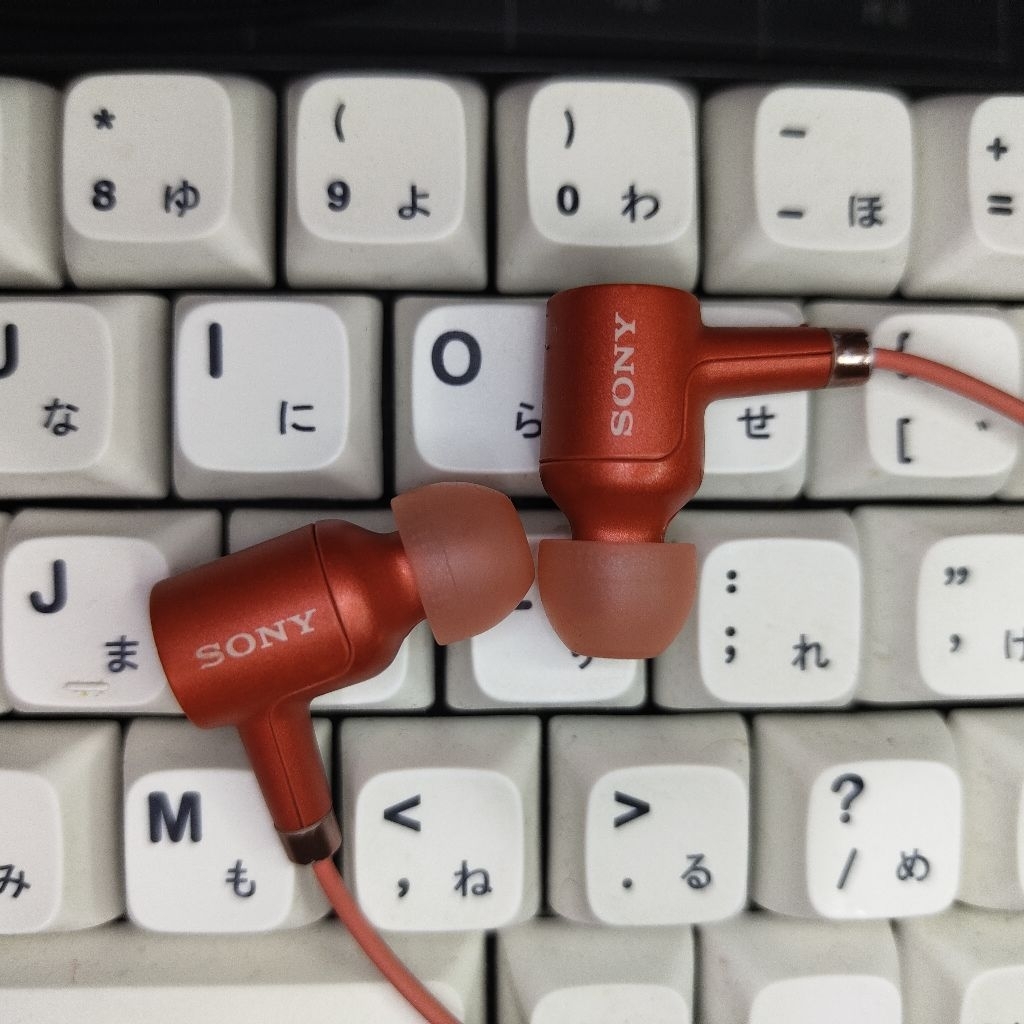 sony ier nw500n & flip case premium walkman nw a35 a45 a55