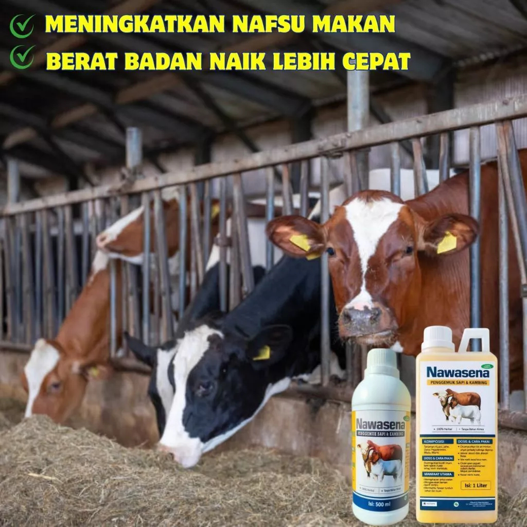 Nawasena vitamin ternak sapi kambing cepat gemuk – suplemen ternak herbal bantu nafsu makan naik dan