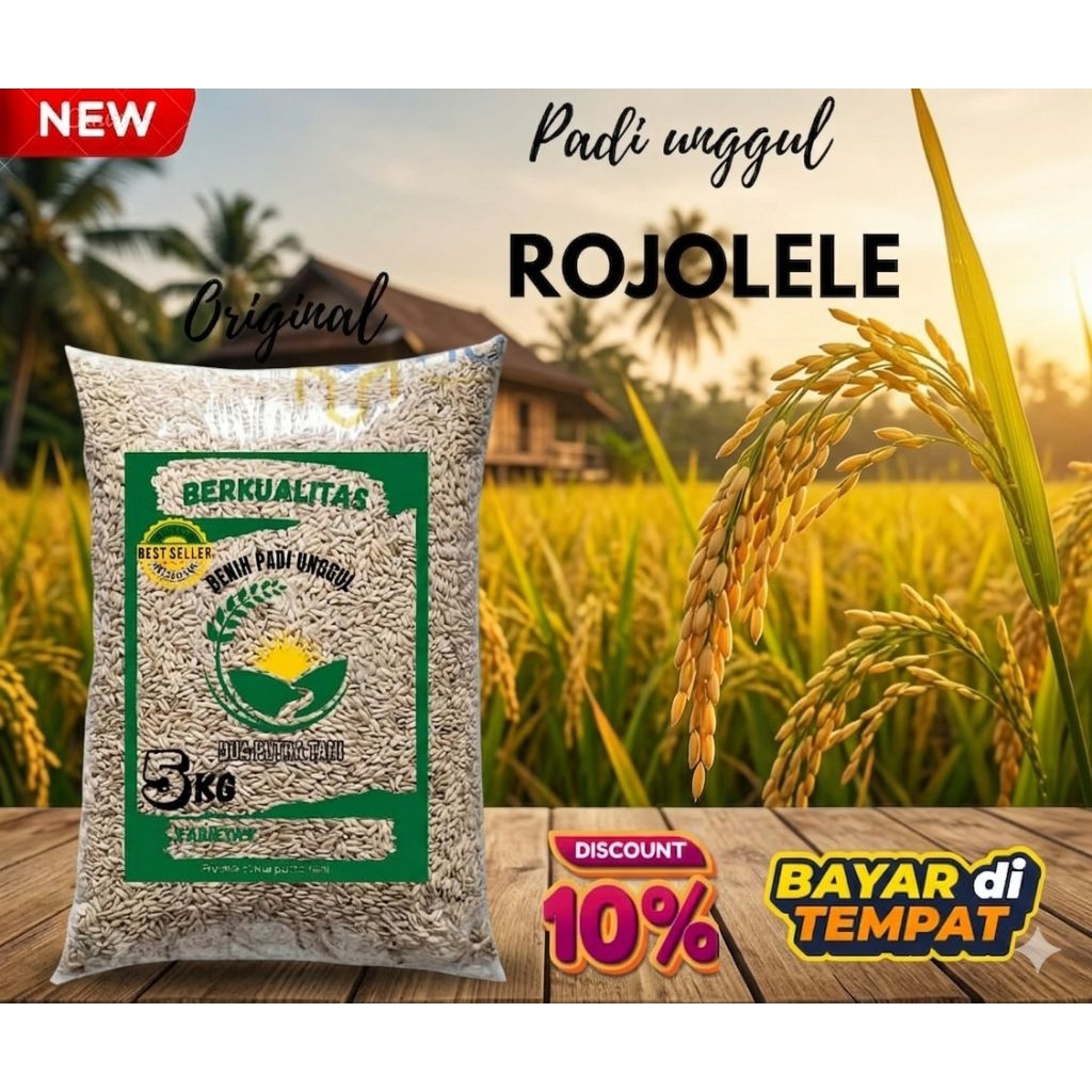 Benih padi Rojolele kemasan 5kg bibit KUALITAS SUPER PREMIUM