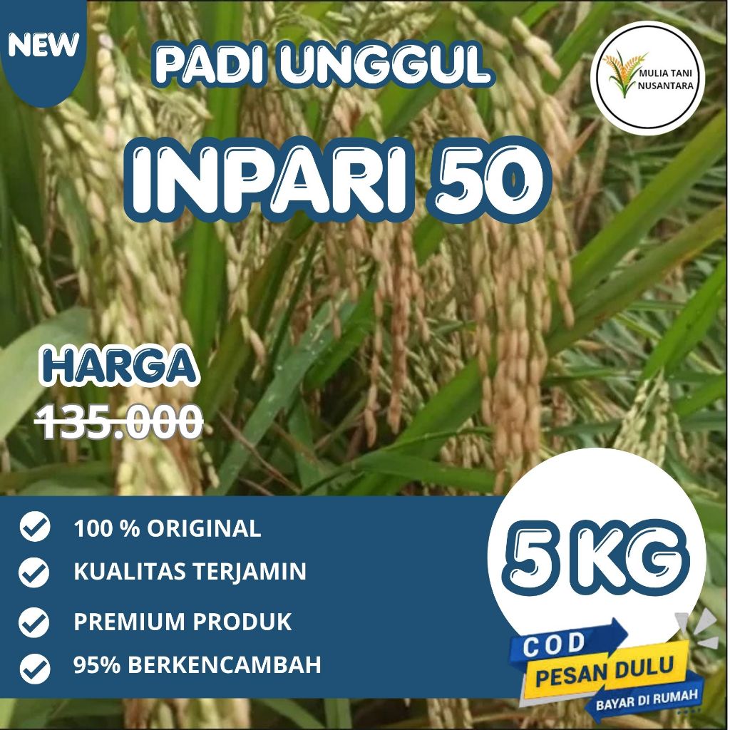 Benih padi unggul inpari 50 marem bersertifikat label ungu kemasan 5kg