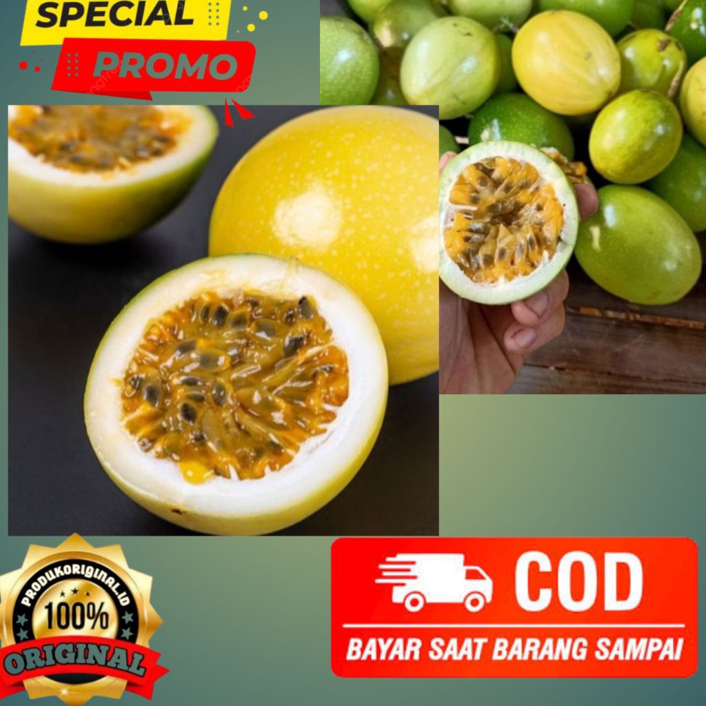 markisa konyal kuning manis 1kg