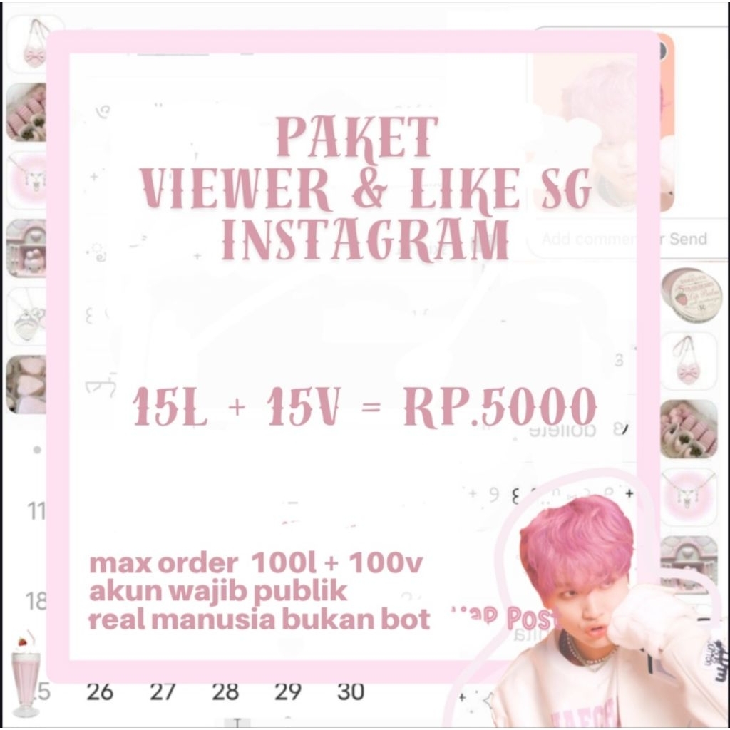 Jasa paket viewers dan like instagram real indonesia