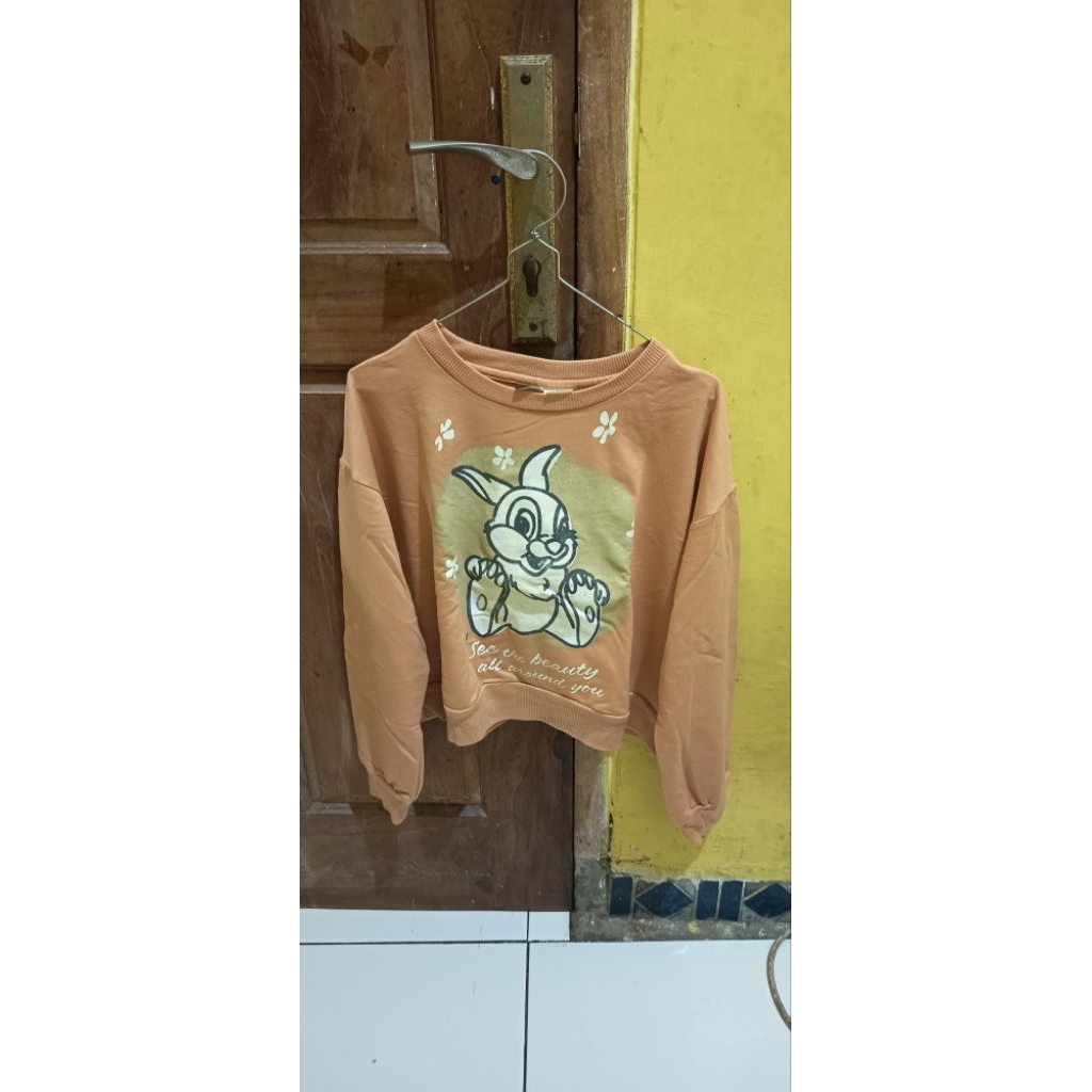 Crewneck Croptop Colorbox × Disney