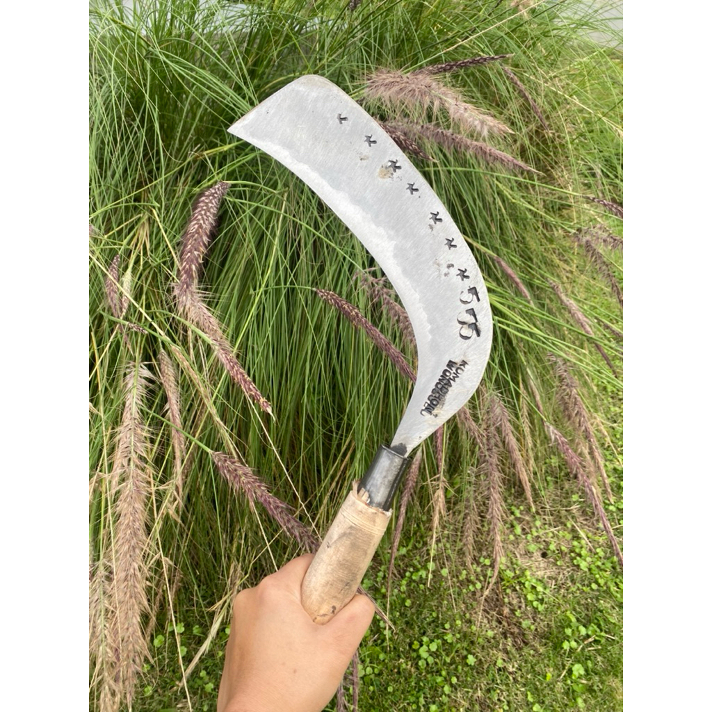 Arit deres sadap nira kelapa baja isen asli selap3 cap555