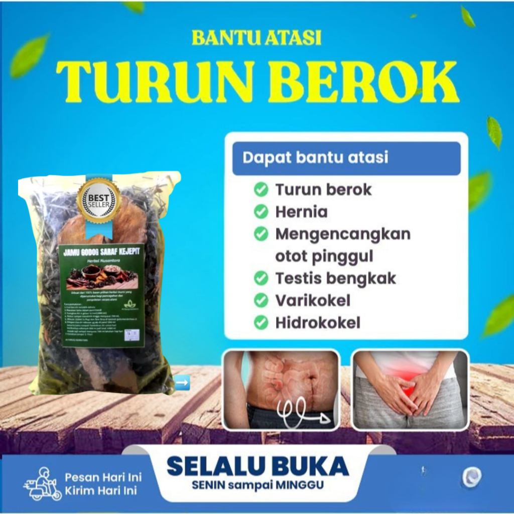 Obat Herbal Hernia turun berok untuk pria/wanita