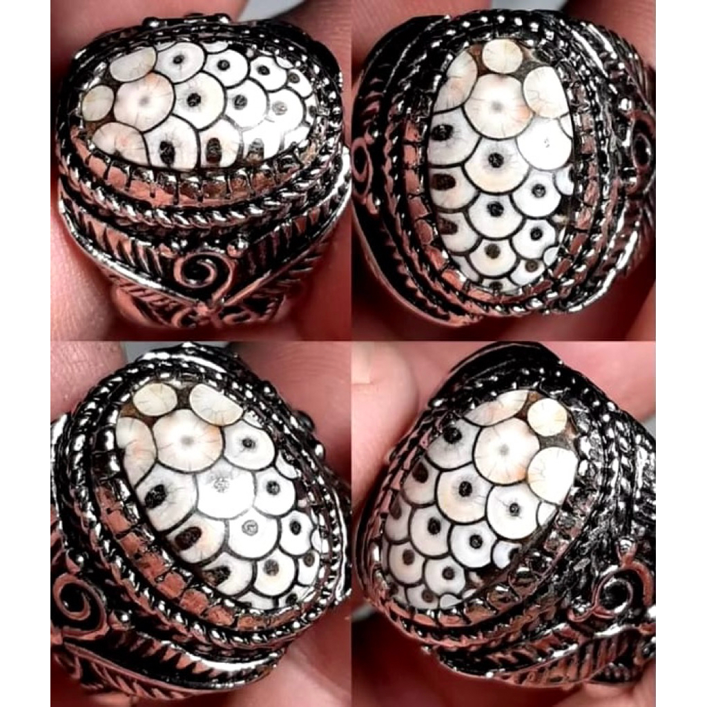 JHIPEN SNAKE SKIN/JHIPEN SISIK ULAR ANNACONDA AJIB ANTIK VARIAN LANGKA