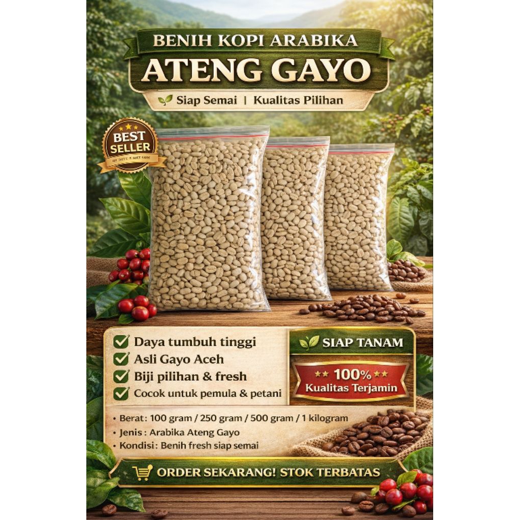 Benih Kopi Arabika Ateng Gayo Asli Aceh  Biji Kopi Siap Semai Daya Tumbuh Tinggi – Bibit Kopi Unggul
