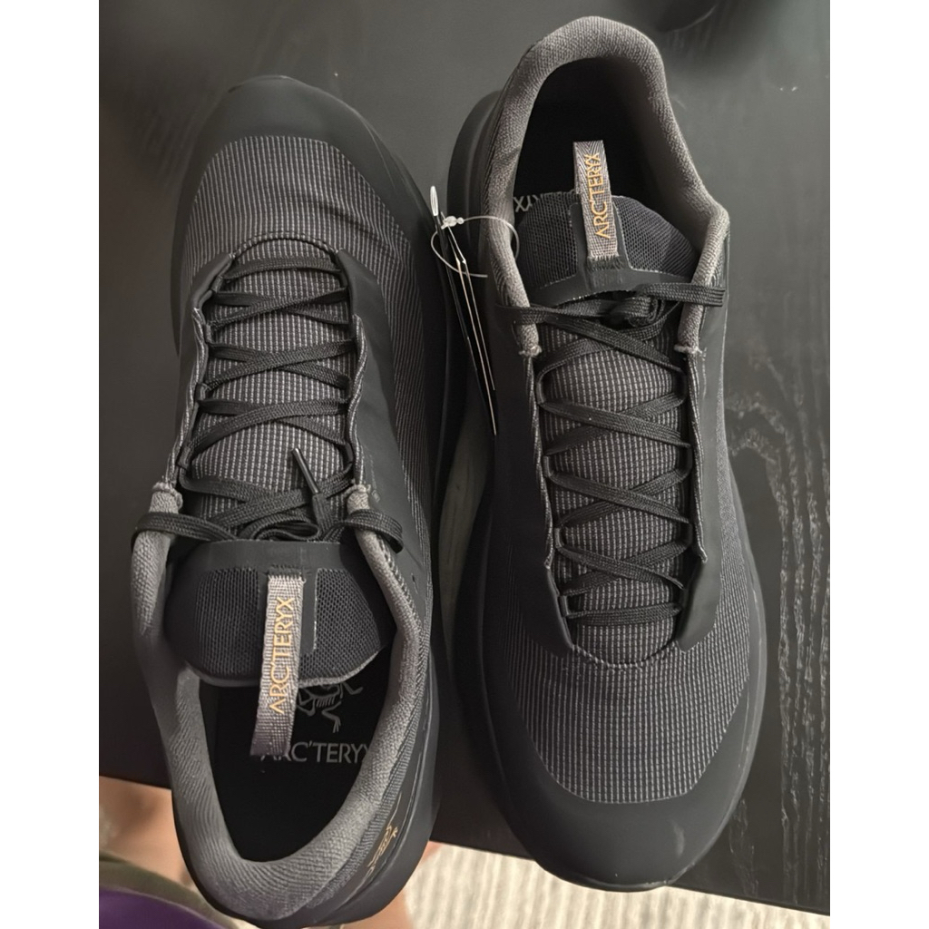 ARCTERYX NORVAN LD4 GTX