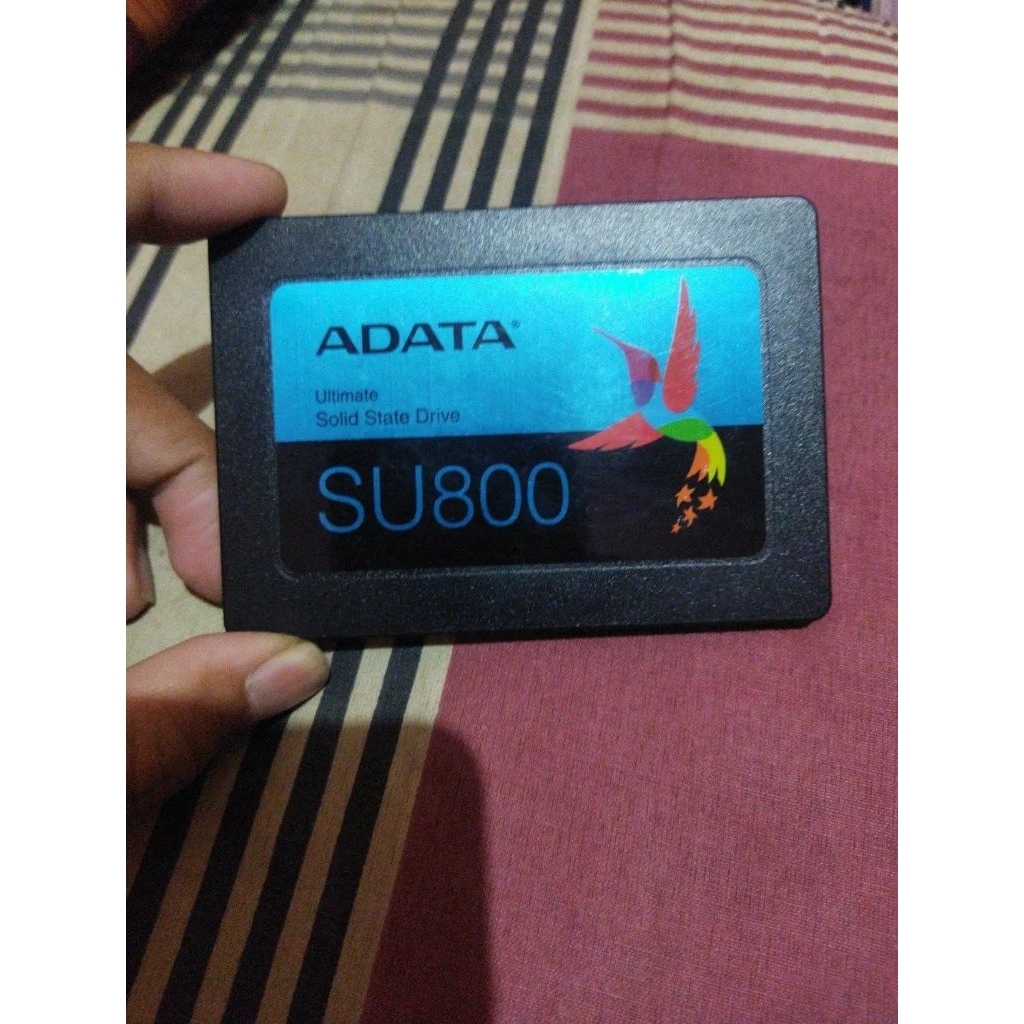 SSD ADATA SU800 512 GB