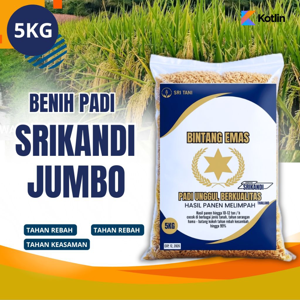 Benih padi unggul Srikandi jumbo 5kg