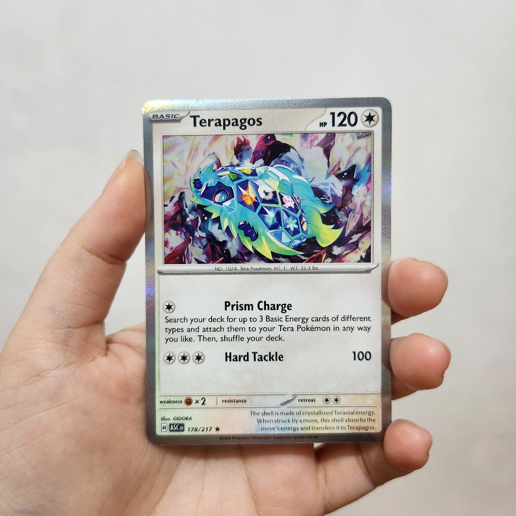 Kartu Pokemon TCG English Japan Indonesia - Terapagos