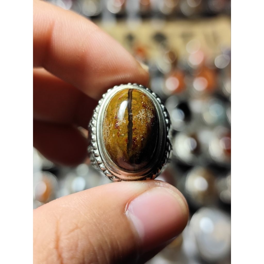 kendit badar ati ayam