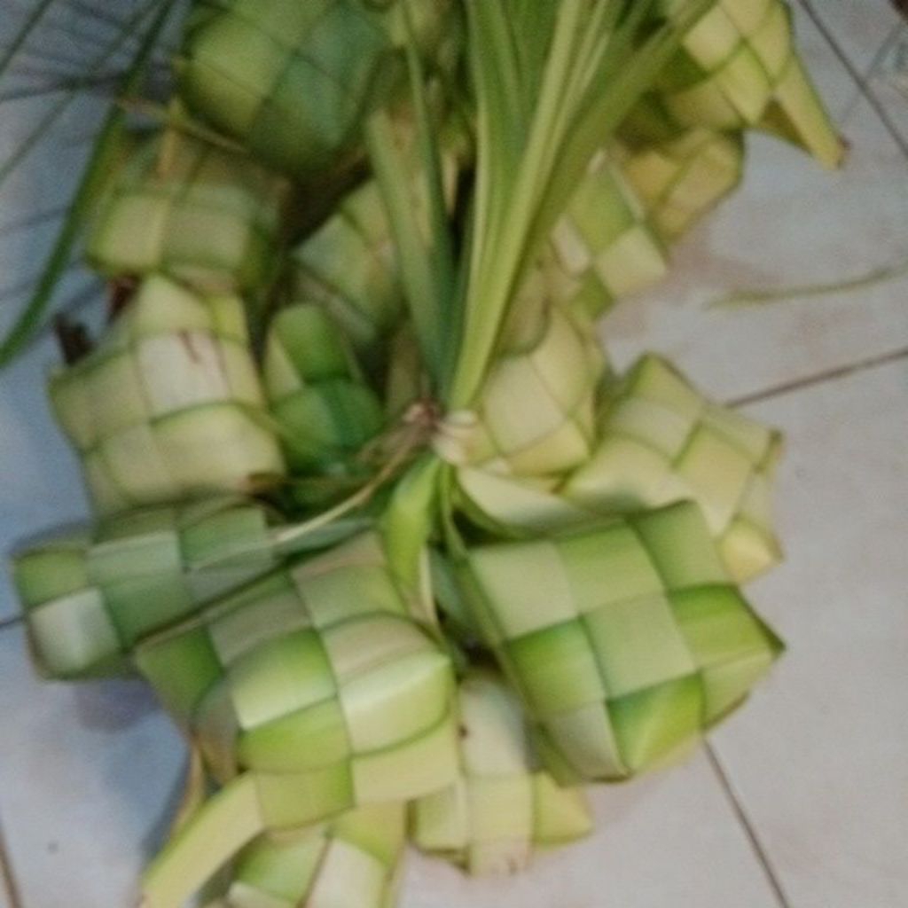 Cangkang Ketupat