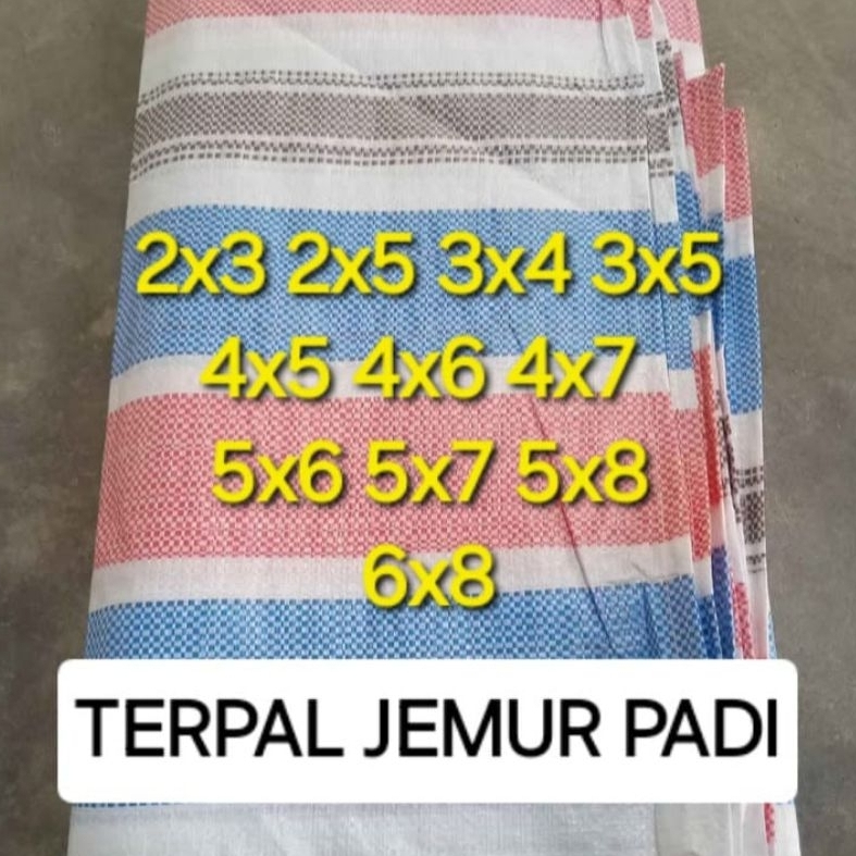 Terpal Jemur Padi 6x8 Meter Terpal Hamparan Jagung