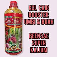 Kcl cair formula pembuahan / cairan pembesar buah