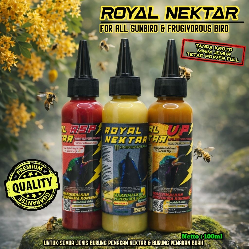 Pakan Nektar Harian & Lomba Konin, Sogon, Kolibri Kelapa, Kolibri Ninja Cepat Gacor Aman Tanpa Kroto