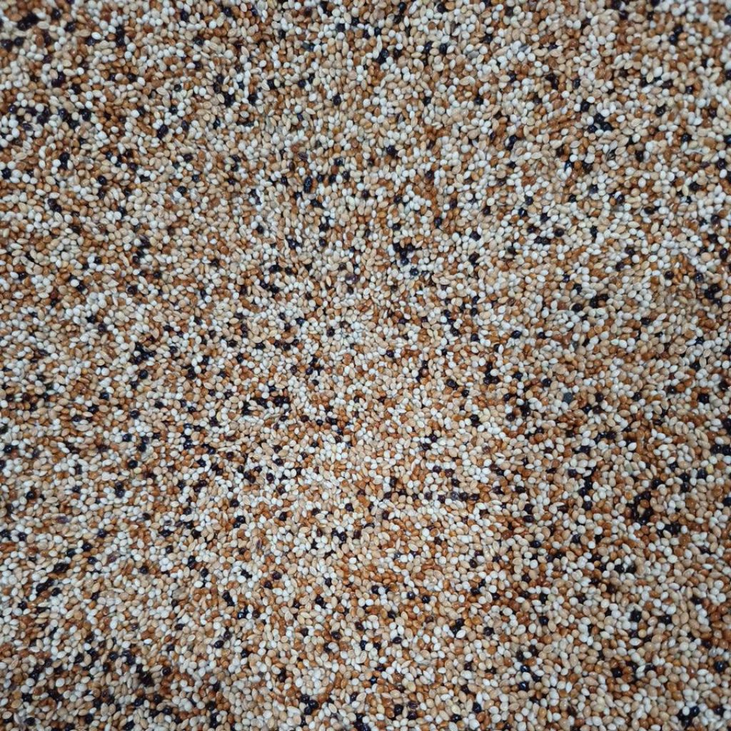 ( 1 Kg ) Milet Campur 4 Macam ( Milet Putih, Milet merah, Milet Hitam & Milet Kuning )