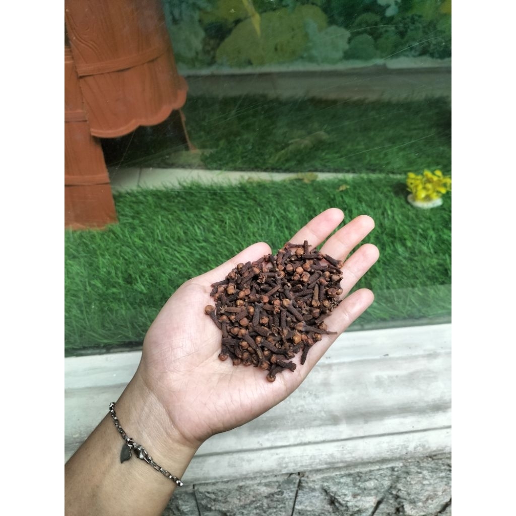 Cengkeh kering // cengkeh Rempah // cengkeh bumbu masak // cengkeh Ori asli Madiun jawa timur panena
