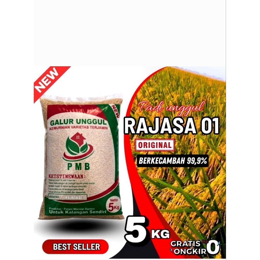 benih padi rajasa 01 original kemasan 5kg