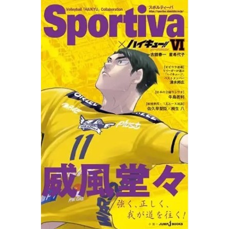 Haikyuu Sportiva - Ushijima - Japan