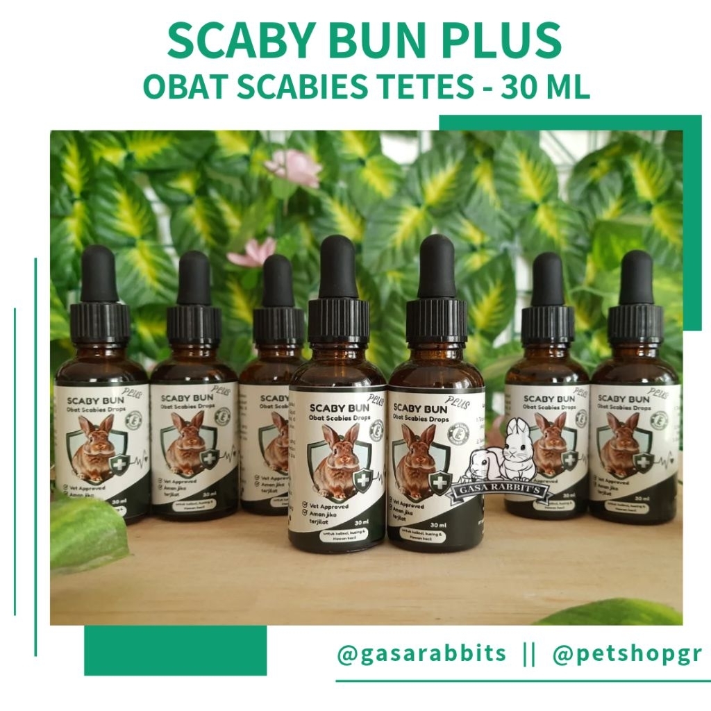 SCABY BUN PLUS OBAT SCABIES KELINCI - OBAT SCABIES KELINCI - OBAT SCABIES KUCING - OBAT KUCING JAMUR