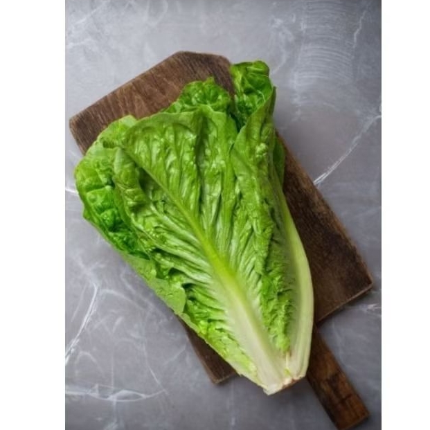 ROMAINE LETTUCE